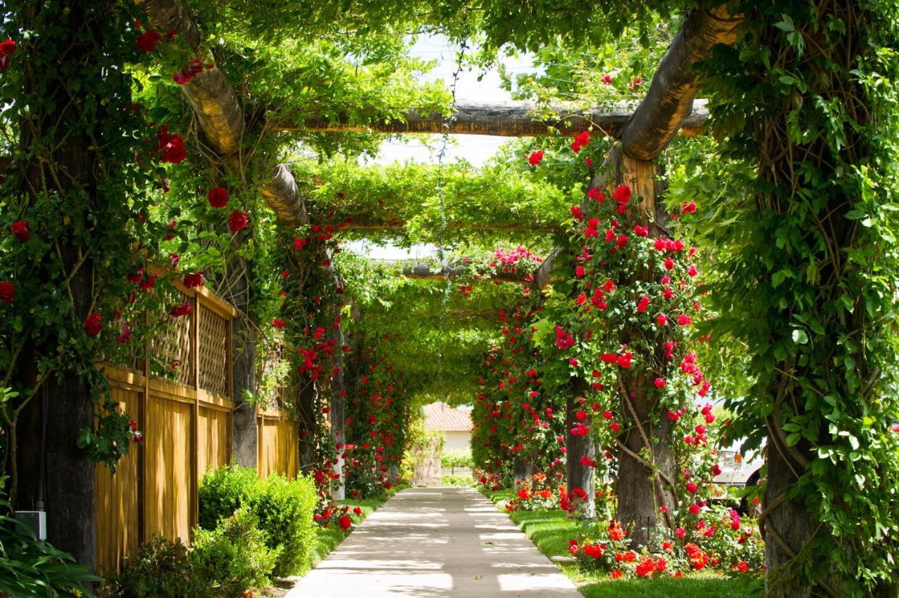 South Coast Winery Resort & Spa Temecula Exteriér fotografie